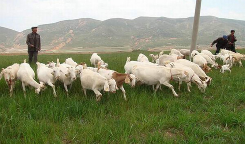 長春養(yǎng)殖場專業(yè)反滲透純凈水設備